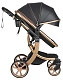 Коляска трансформер Aimile Adventurer черный