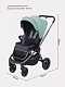Коляска прогулочная Rant Flex Pro 2023