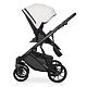 Коляска 2 в 1 Riko Basic Montana Ecco