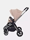Коляска прогулочная Rant Flex Pro 2023