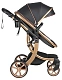 Коляска трансформер Aimile Adventurer черный
