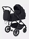 Коляска 2 в 1 RANT MOSS
