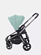 Коляска прогулочная Rant Flex Pro 2023