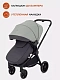 Коляска универсальная Rant Energy 2024