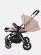 Коляска прогулочная Rant Flex Pro 2023