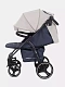 Коляска прогулочная Rant Basic Alpine