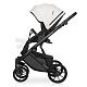 Коляска 2 в 1 Riko Basic Montana Ecco