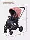 Коляска прогулочная Rant Flex Pro 2023