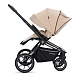 Детская коляска 2 в 1 RAIZ new