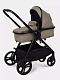 Коляска-трансформер для двойни и погодок Rant Dualo BROWN