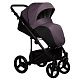 Коляска 2 в 1 Indigo TOUR ECO te