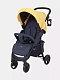 Коляска прогулочная Rant Basic Kira