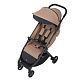 Коляска ANEX iQ