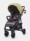 Коляска прогулочная Rant Vega Star