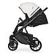 Коляска 2 в 1 Riko Basic Montana Ecco