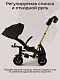 Велосипед трехколесный Qplay S700-17 SPRINTER (Rider) SL Black (Rub/Gold)