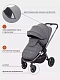Коляска прогулочная Rant Flex Pro 2023