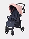 Коляска прогулочная Rant Basic Kira