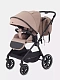 Коляска 2 в 1 RANT MOSS