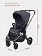 Коляска прогулочная Rant Flex Pro 2023