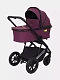 Коляска RANT AXIOM