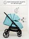 Прогулочная коляска Strollin'Joy
