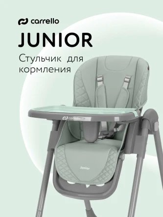 Стульчик для кормления Carrello Junior (Dark Green)